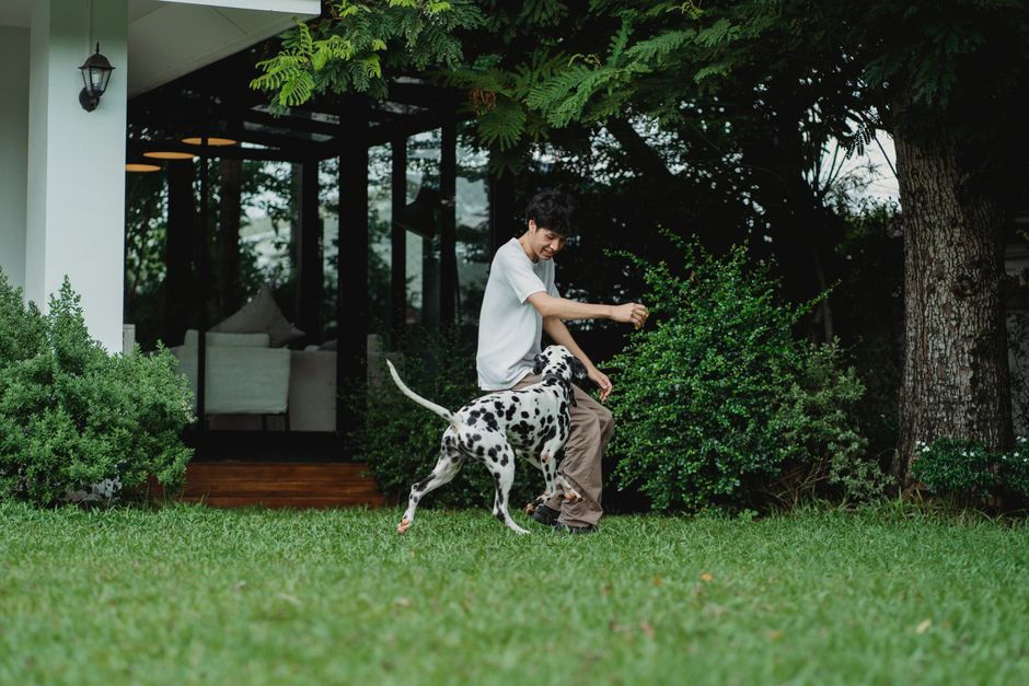 Resident playing with a dog in a private community park Resident playing with a dog in a private community park