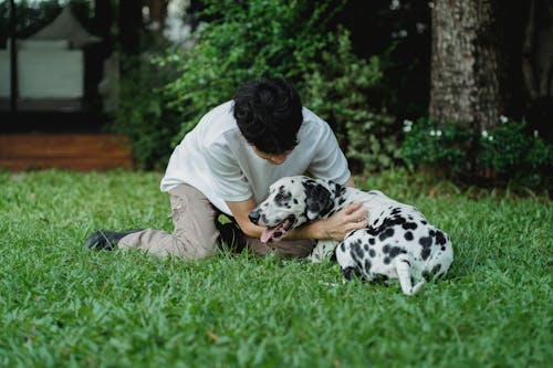 Free A Man Petting His Dog on the Grass Stock Photo