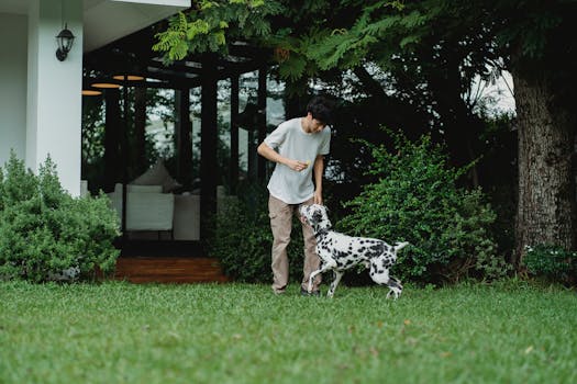 A man enjoying playful interaction with a Dalmatian dog in a lush green backyard setting.