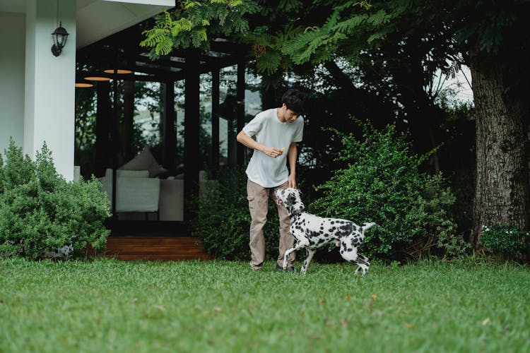 Man Running With His Dalmatian Dog In The Backyard