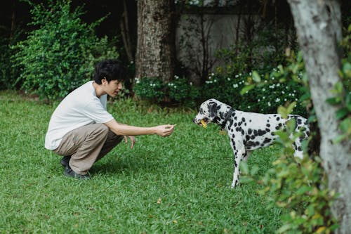 Free Man in Beige T-shirt and Brown Pants Holding Dalmatian Dog Stock Photo