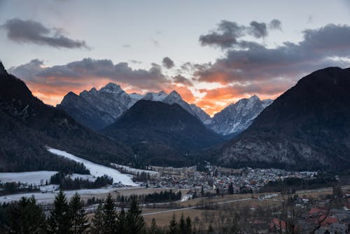 Foto d'estoc gratuïta de alba, avets, capvespre