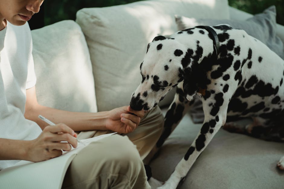 Training A Puppy To Stop Whining