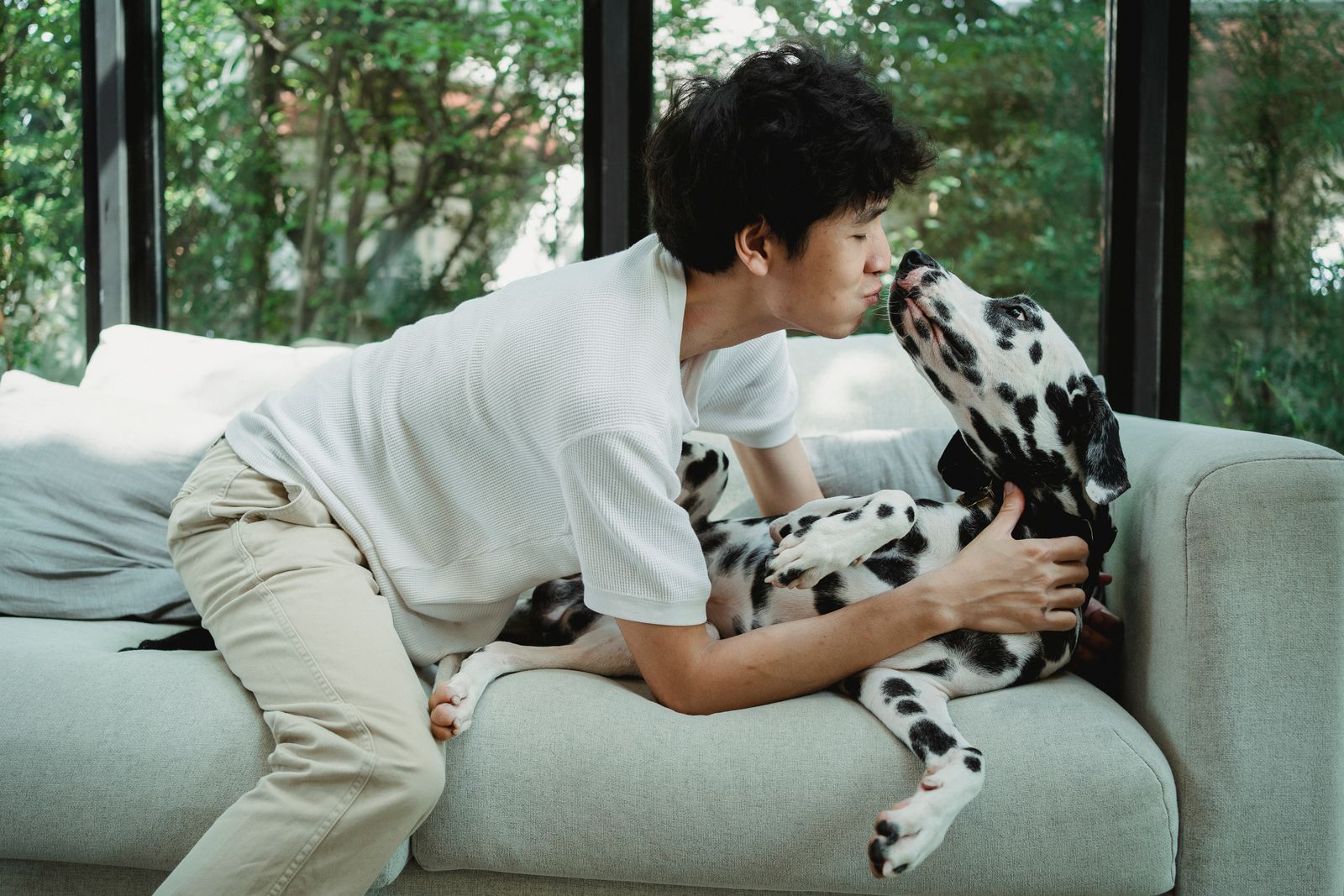 A man spending time with a Dalmatian on a living-room sofa