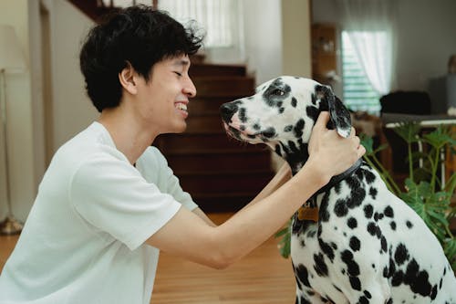 Free A Man and a Dog Face to Face  Stock Photo