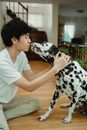 Woman in White Shirt Hugging Dalmatian Dog