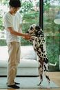 Woman in White T-shirt and White Pants Holding Dalmatian Dog