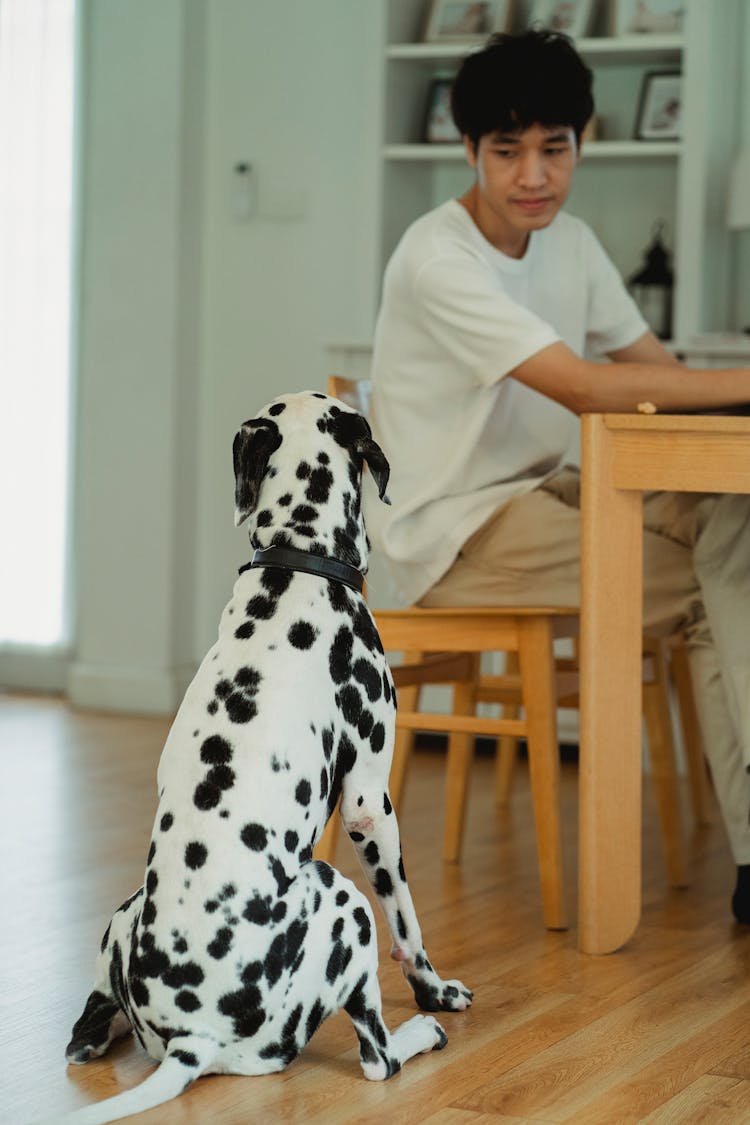 Man With Dog In Kitchen