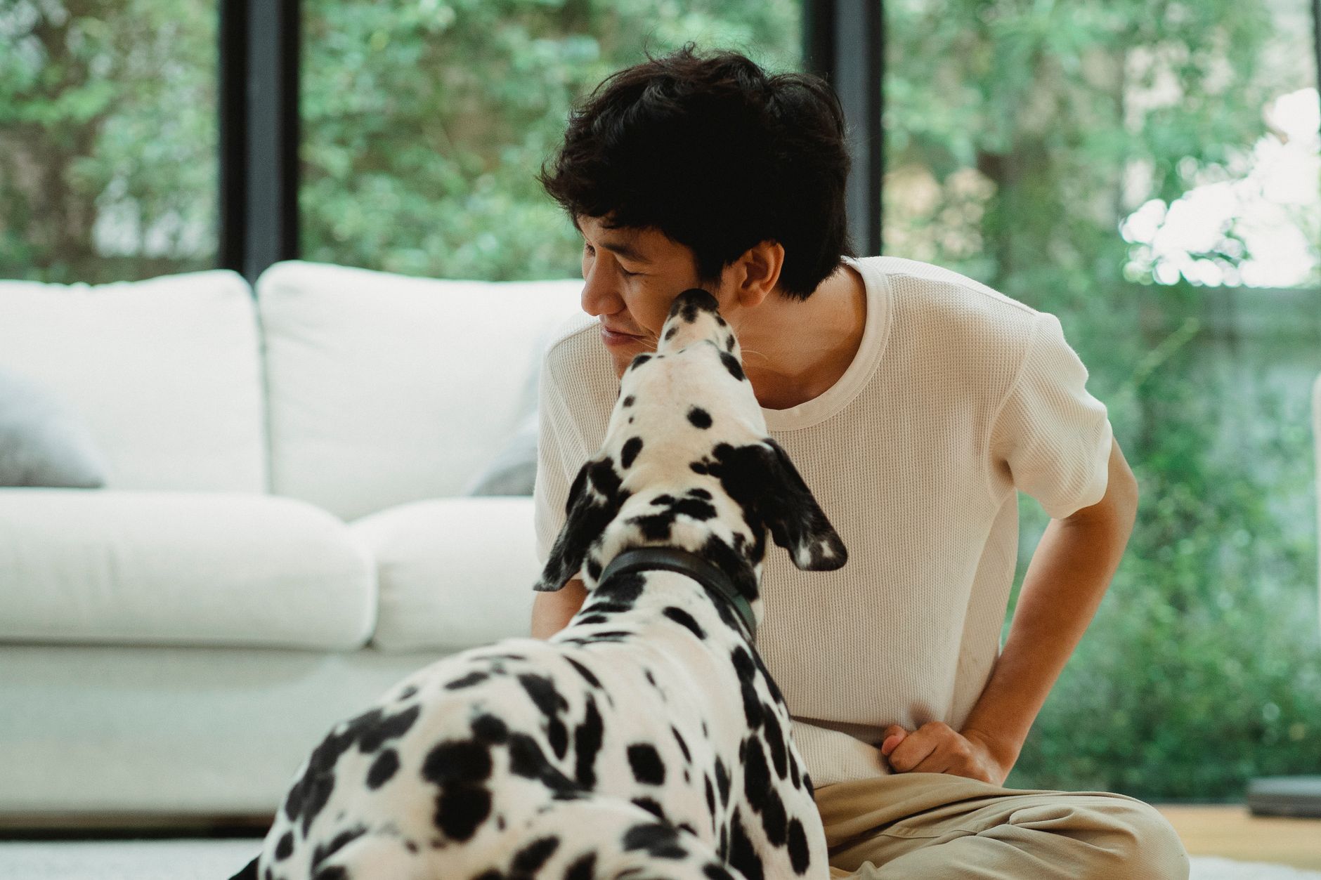 A cheerful man interacting with a dalmatian dog in a cozy indoor setting, showcasing a bond of friendship and happiness.