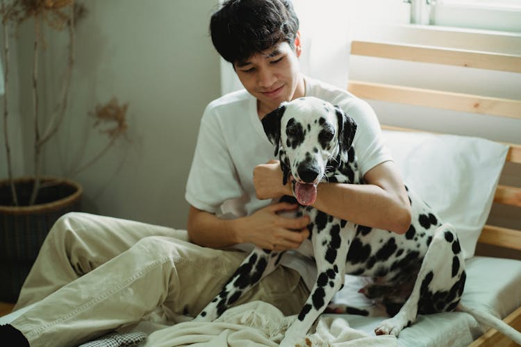 Man Hugging His Dalmatian Dog In Bed And Smiling 