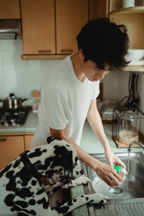 A Man Washing a Toy For His Dalmatian Dog