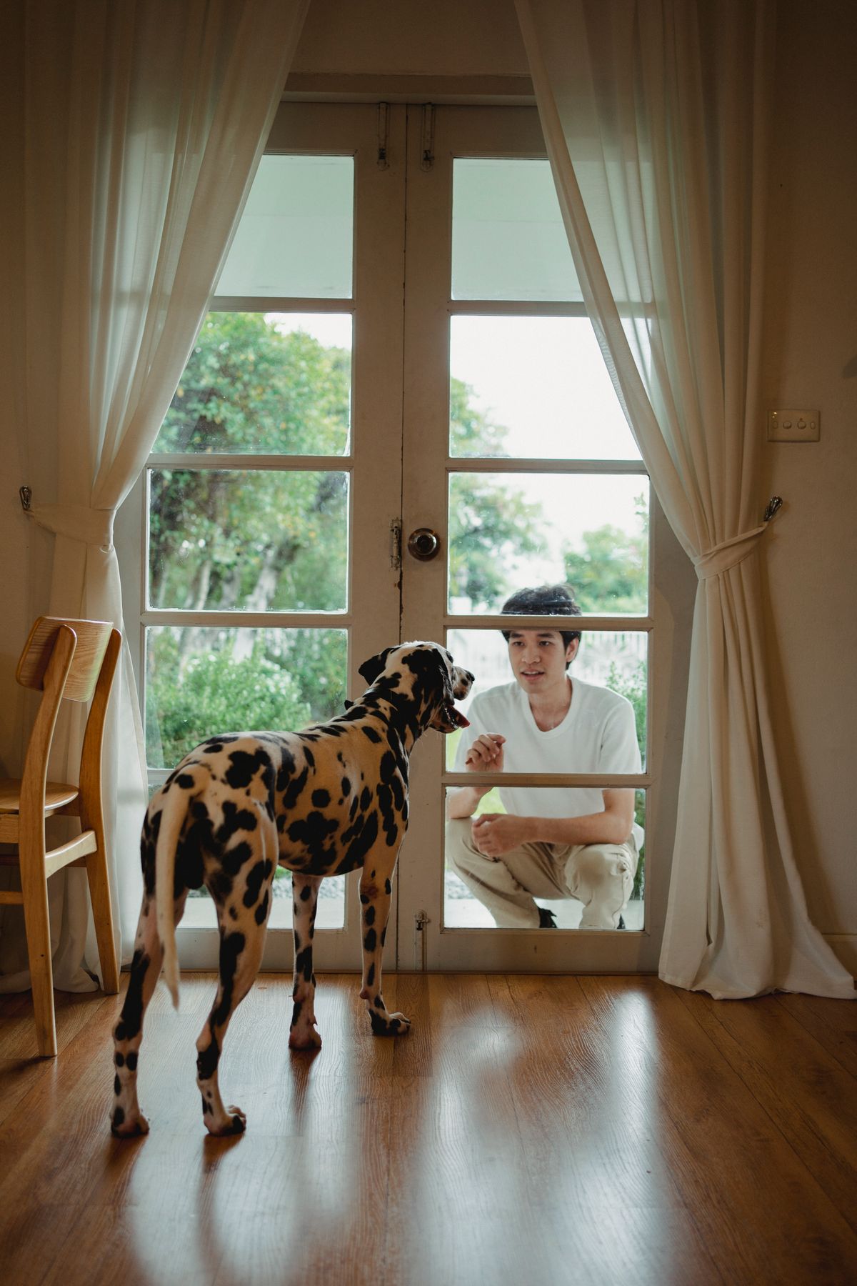 Person calmly saying goodbye to their dog at the front door before leaving