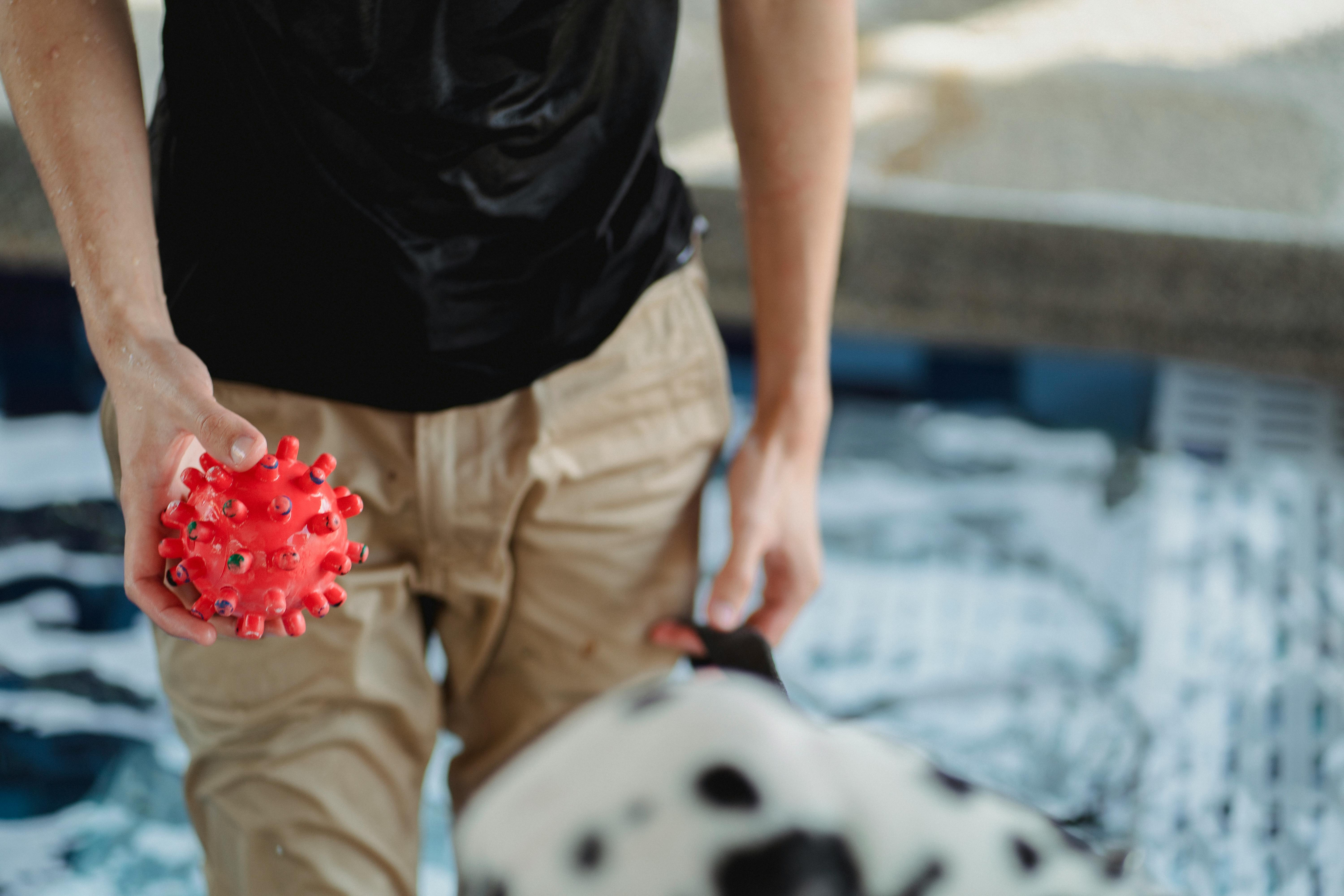 pet lifestyle centre — Photo by Bethany Ferr on Pexels