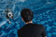 Man in Black Shirt Standing Beside White and Black Dalmatian Dog