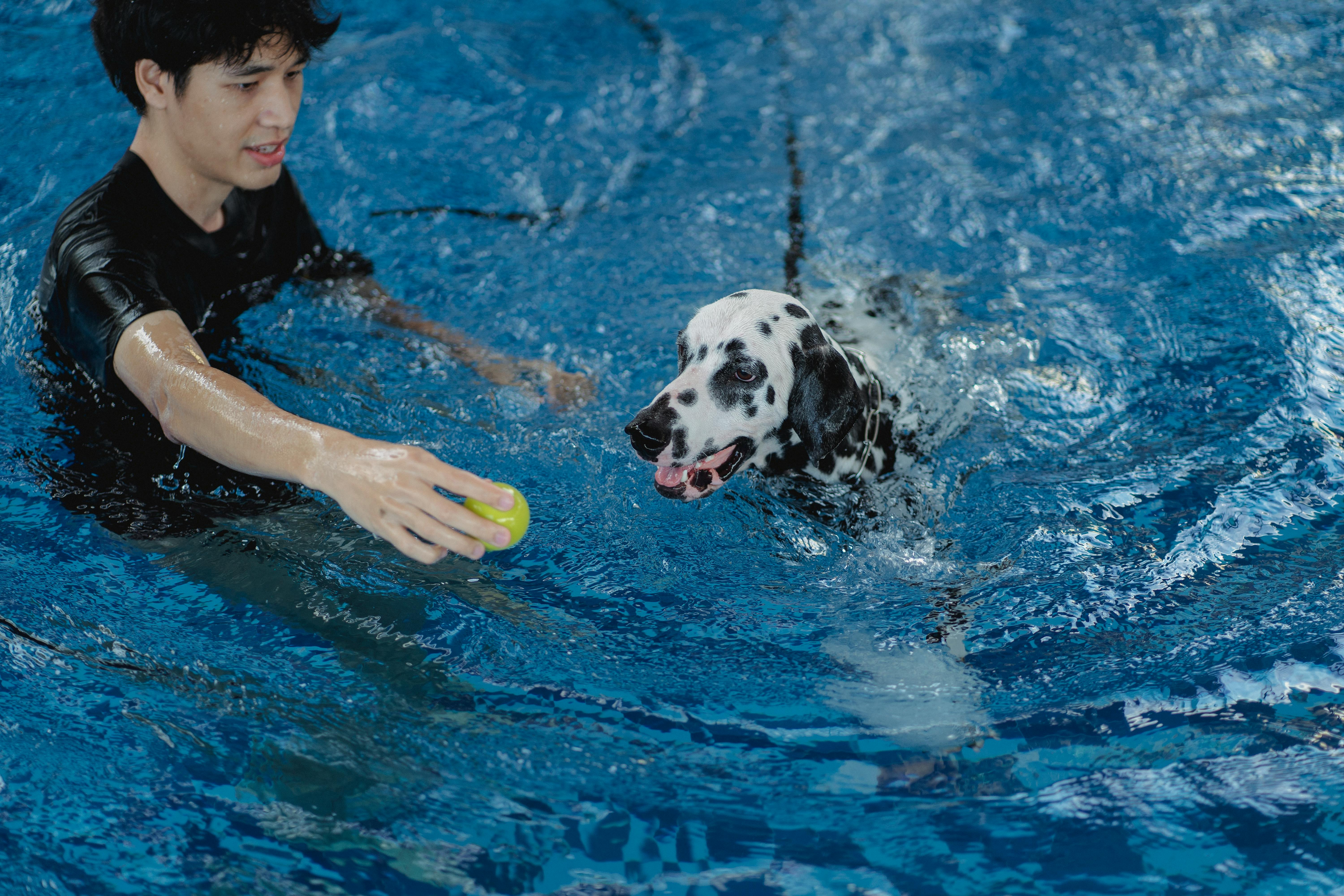 A Man Training His Dog Using a Ball