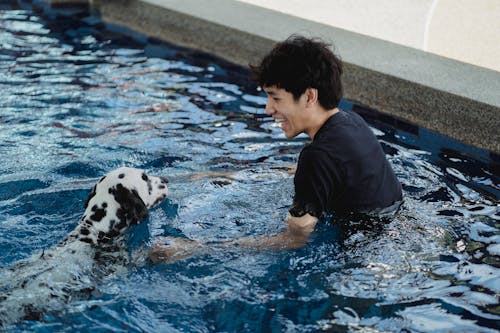 Free A Man and a Dog in the Pool Stock Photo