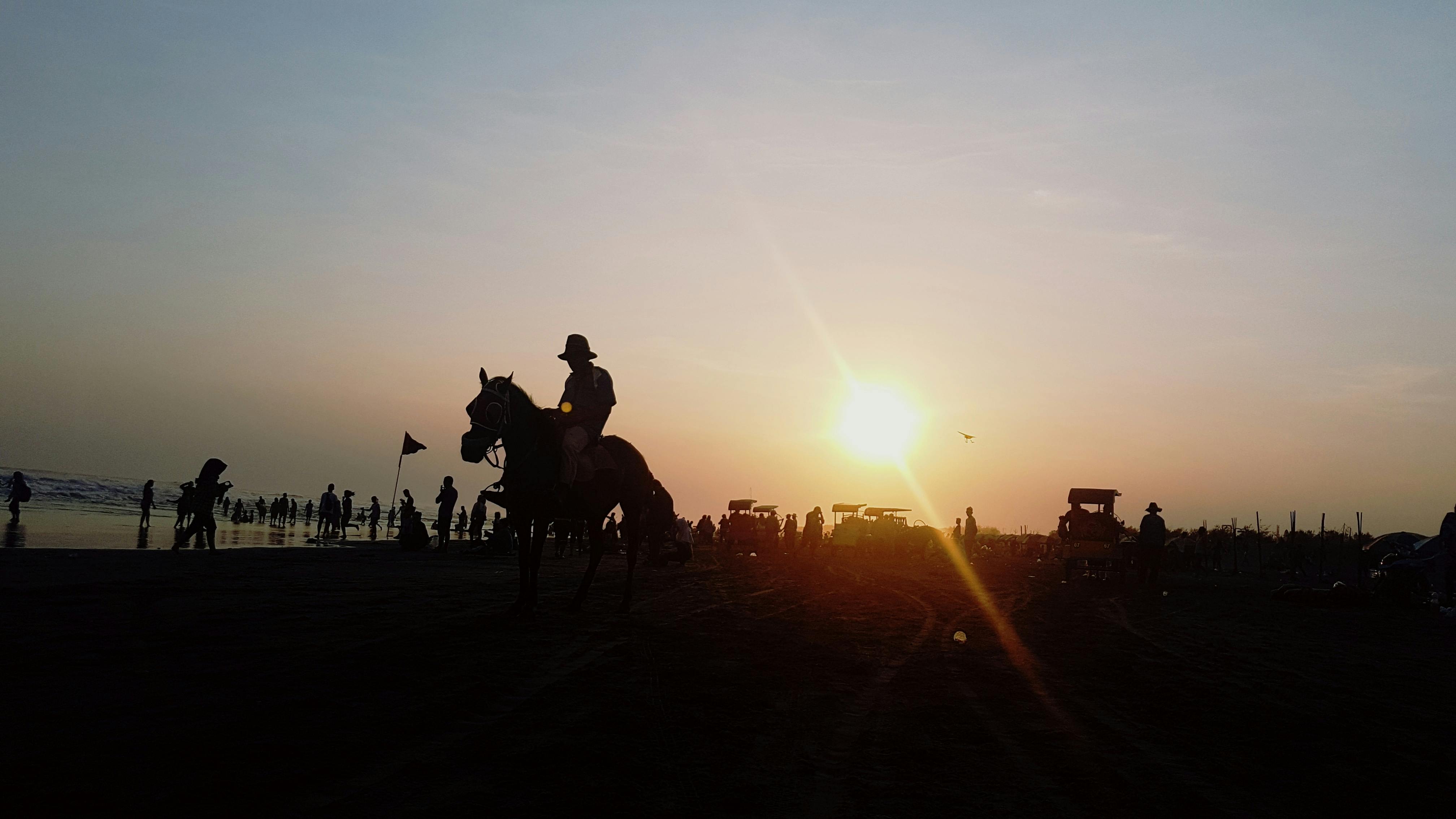 Free stock photo of horse, horse rider, sunset