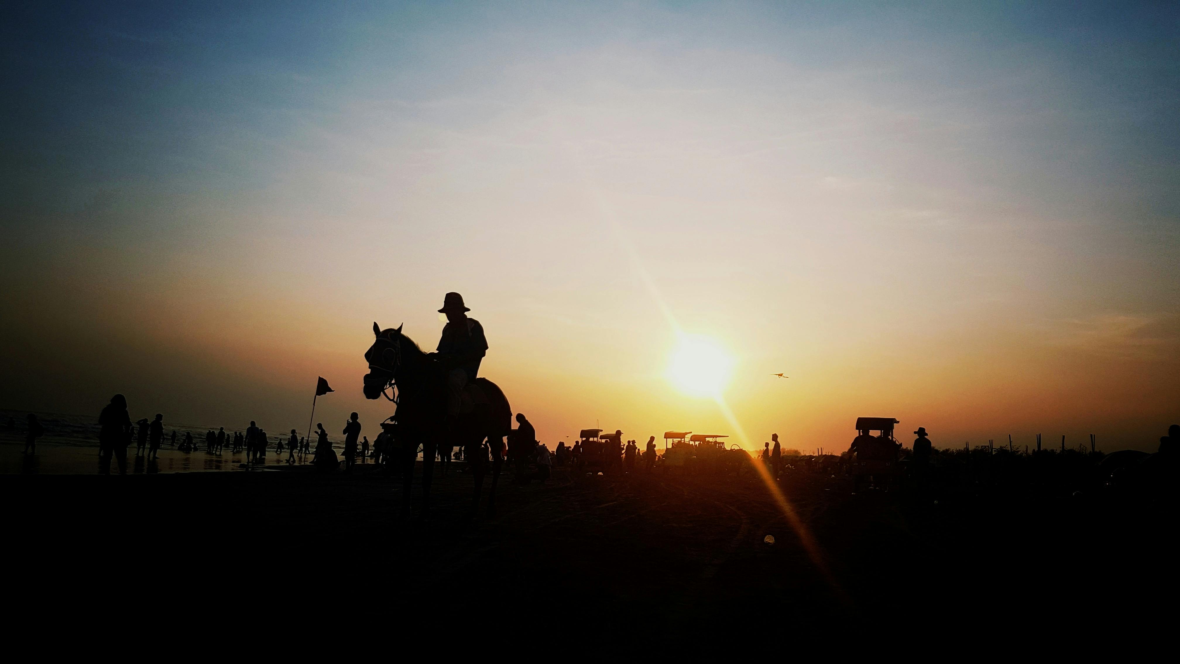 Free stock photo of horse, horse rider, sunset