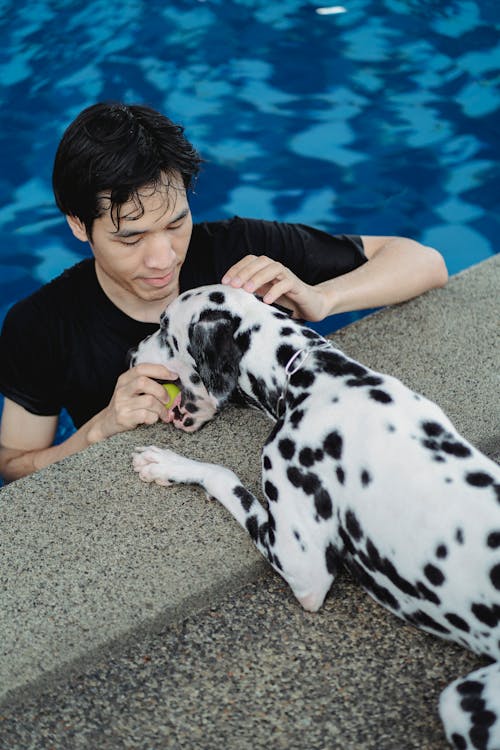 Free Woman in Black Shirt Holding Dalmatian Dog Stock Photo