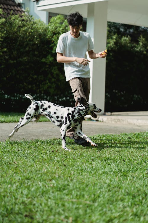 Free A Man Playing with His Dog on the Grass Stock Photo