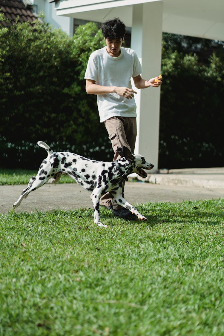 A Man Playing With His Dog On The Grass