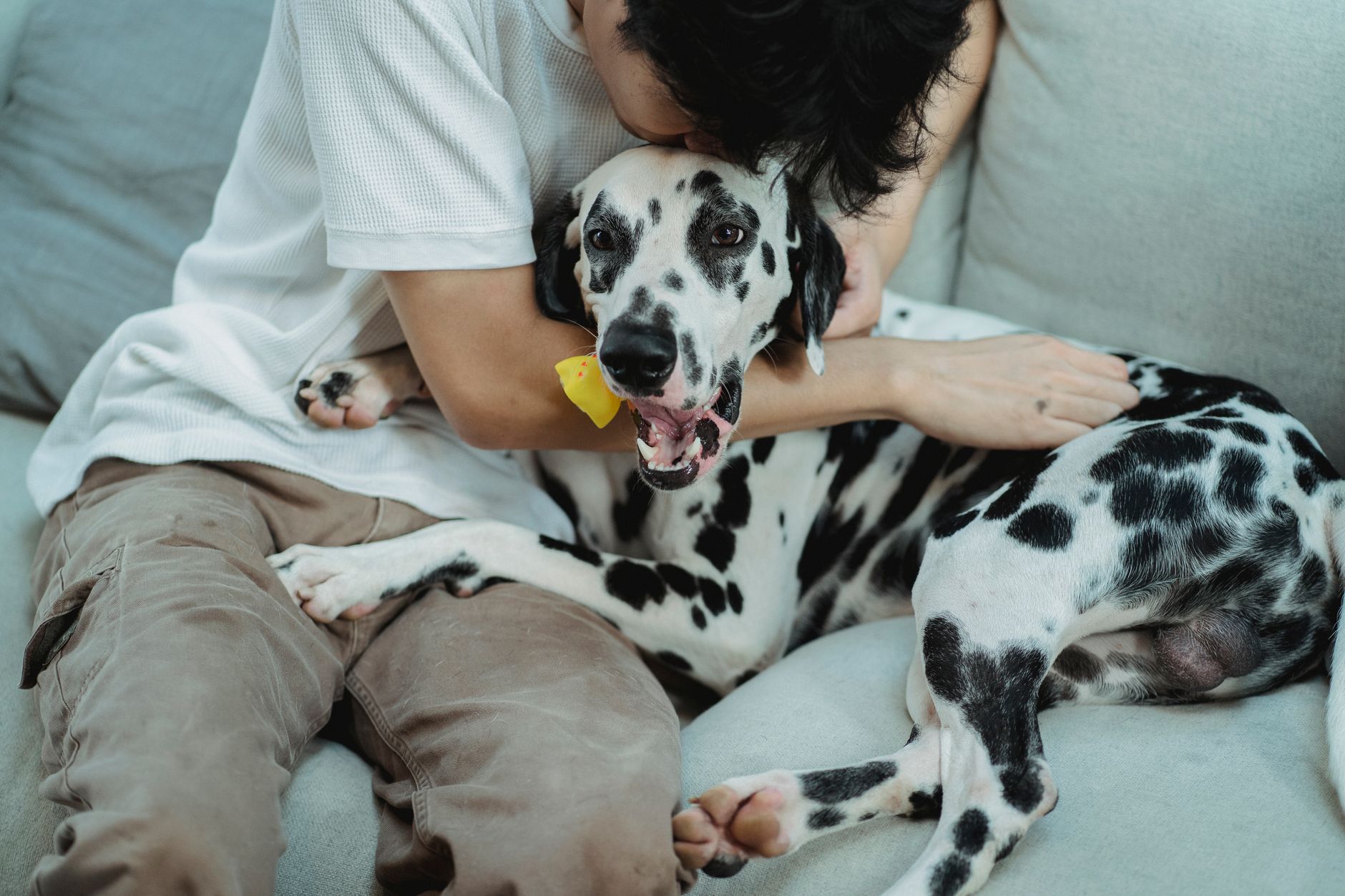 A young man lovingly embraces his Dalmatian dog on a cozy sofa indoors, showcasing pet companionship.