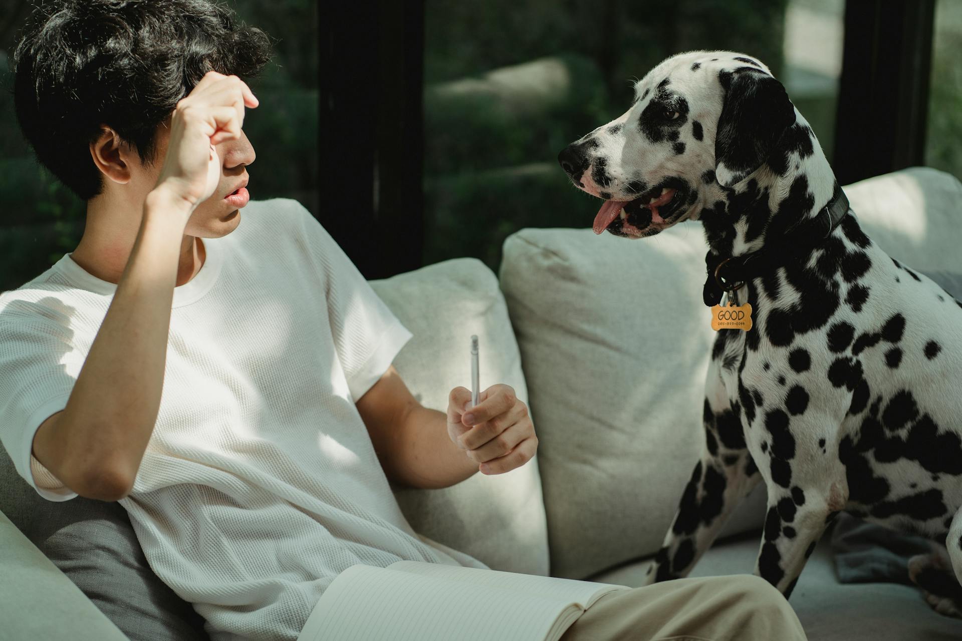 A Man Training His Dog Sitting on the Sofa