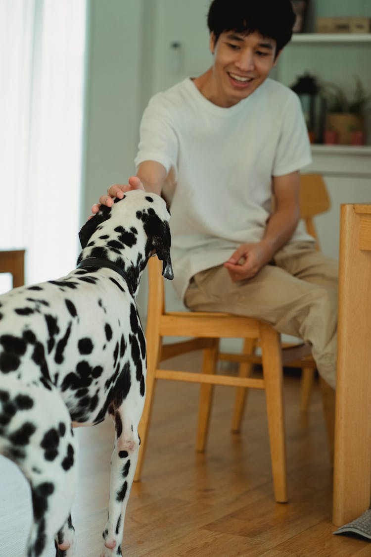 Man With Dalmatian Dog In Kitchen 