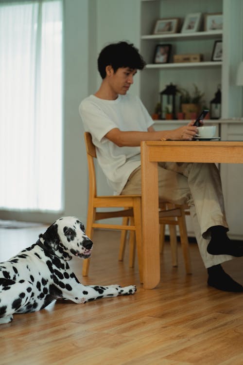 Free Dog Lying on a Floor Beside a Man Sitting on a Chair Stock Photo
