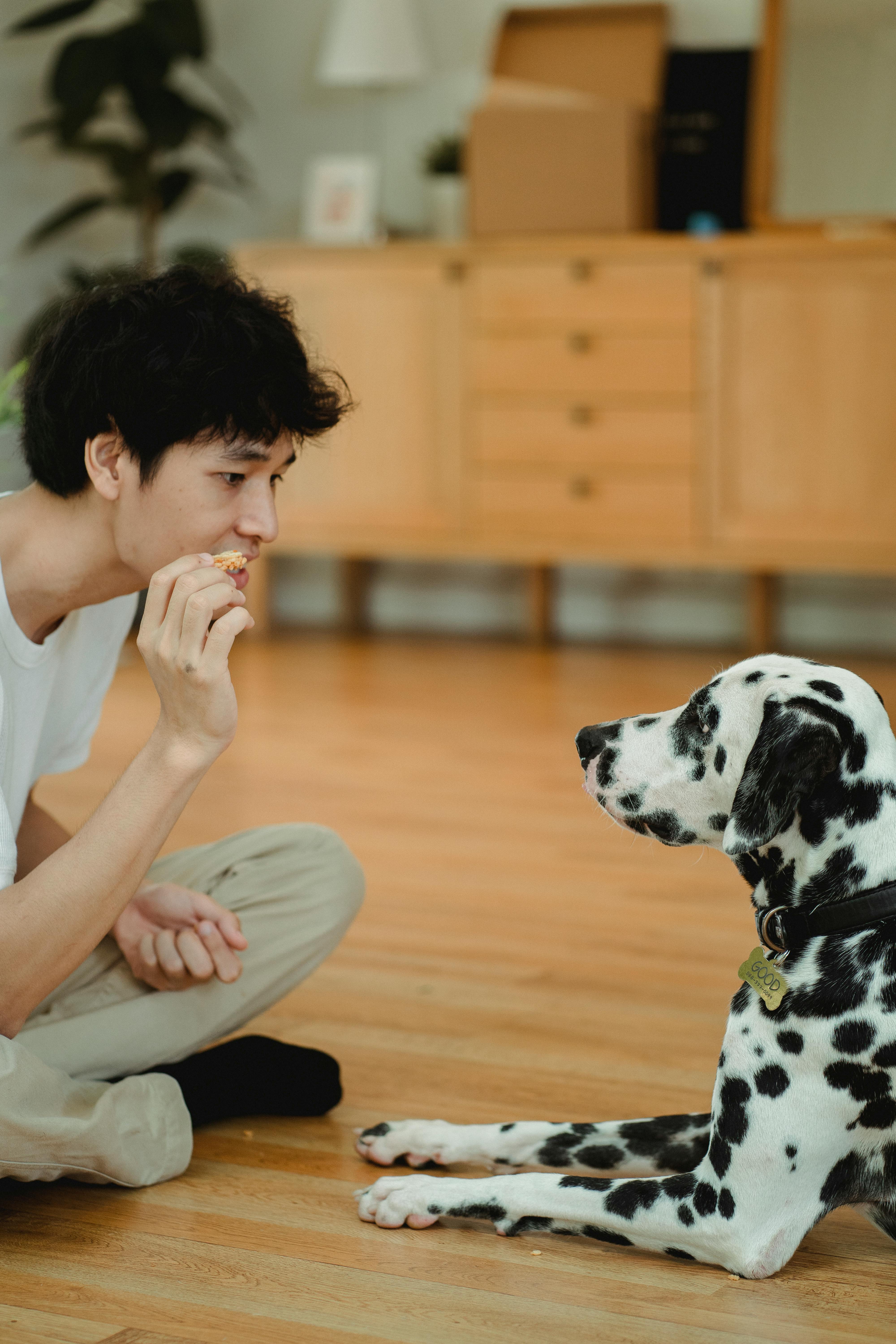 Trainer using French dog commands with puppy indoors