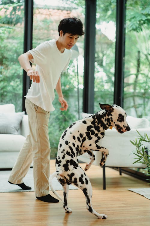Free Man Playing with his Dog Stock Photo