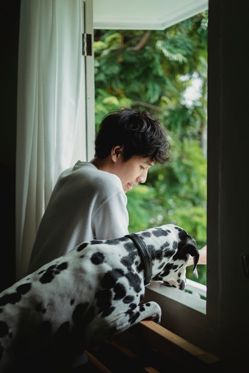 Free A Man and a Dog by the Window Stock Photo