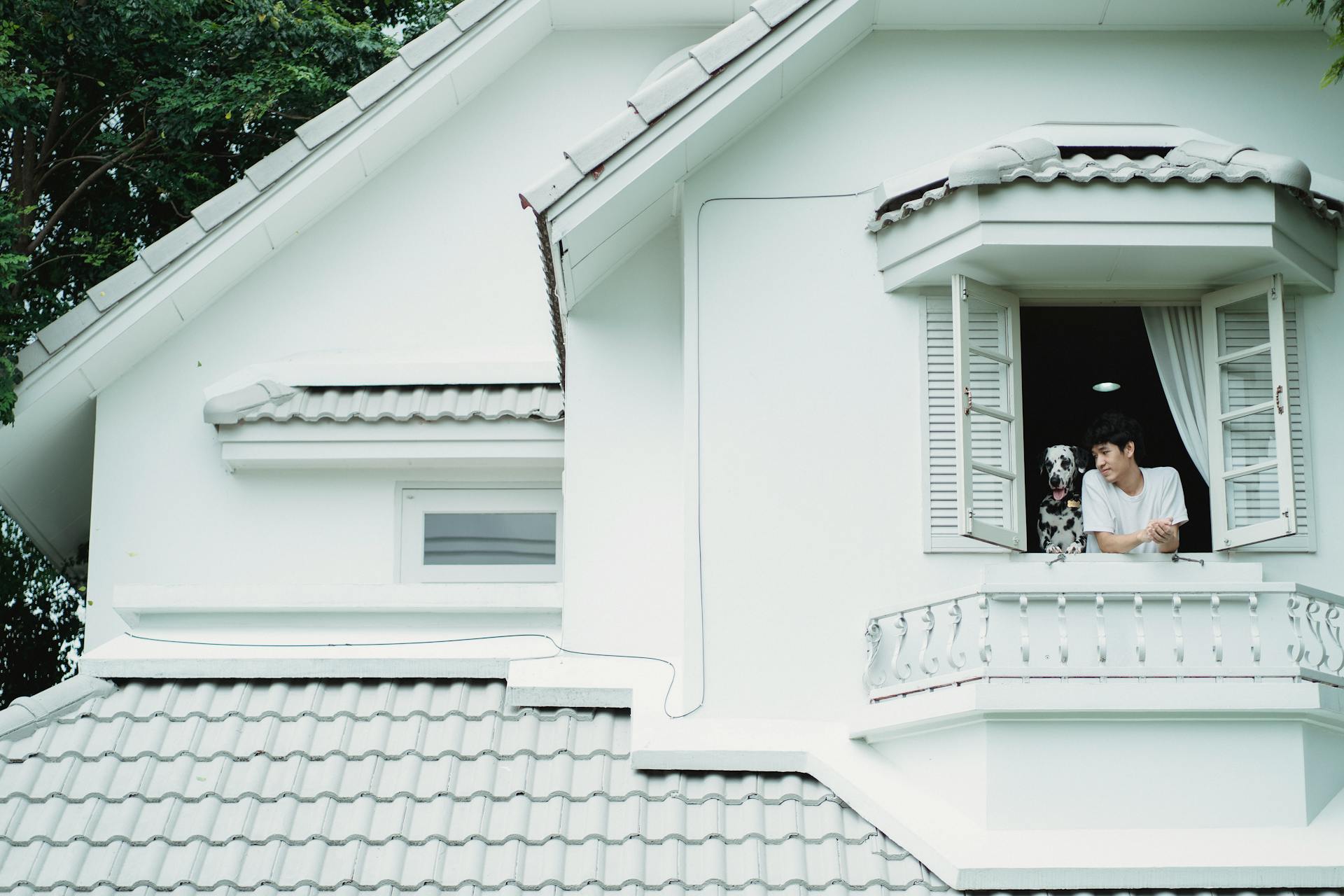 Man and Dog Looking out House Window