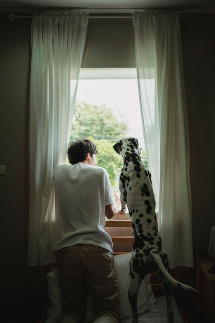 A man and his Dalmatian dog gaze out an open window together.