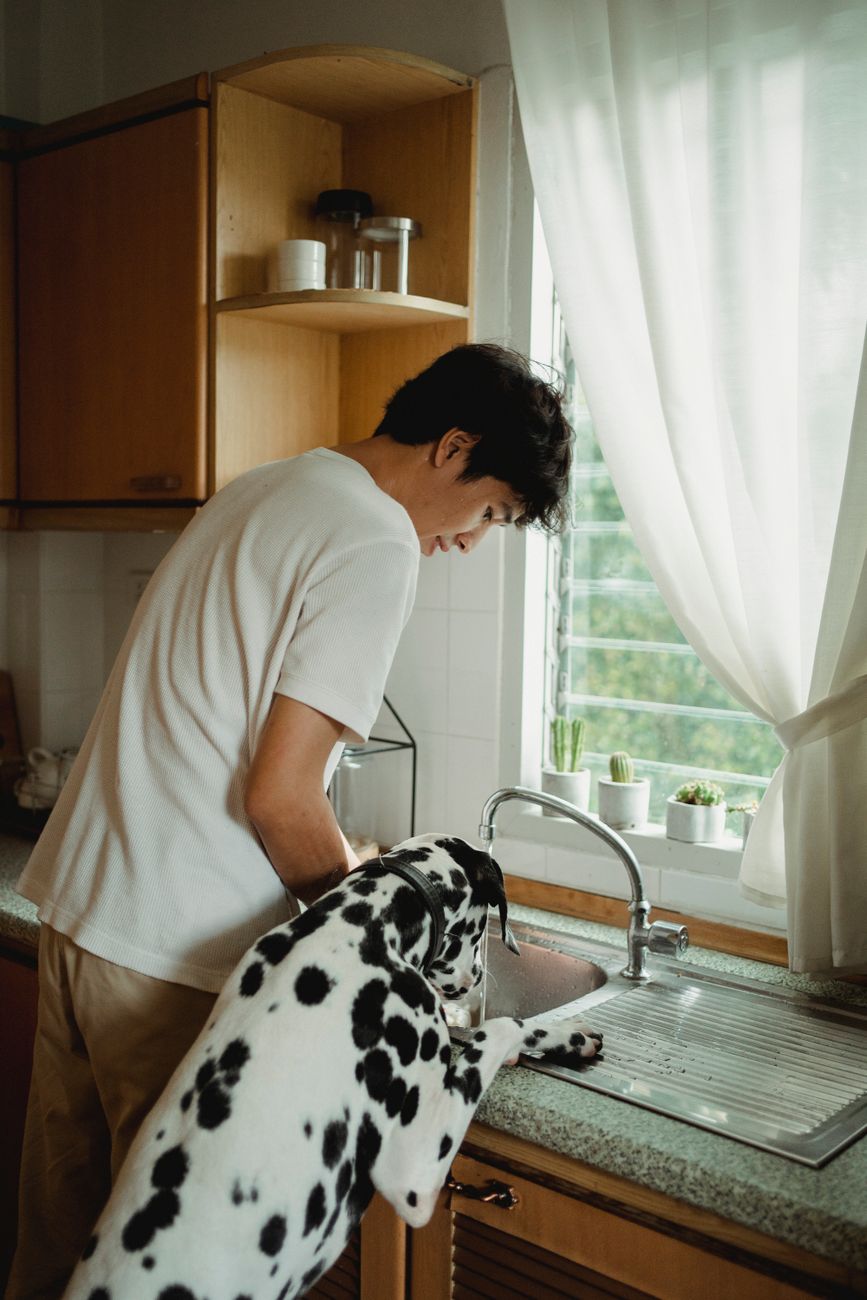 Person in a home kitchen with a dog nearby