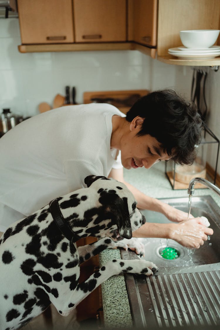 Man And Dalmatian Dog Leaning Against Sink In Kitchen