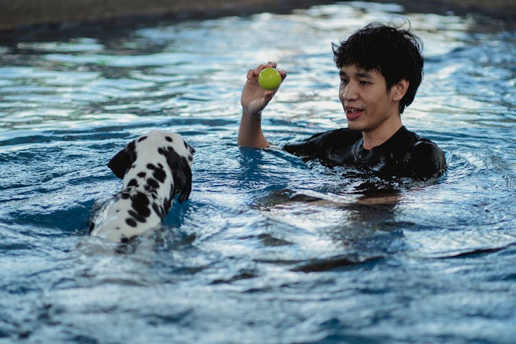 Man Playing With His Dalmatian Dog In Water