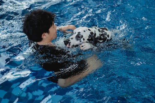 Free A Man and a Dog in the Pool Stock Photo