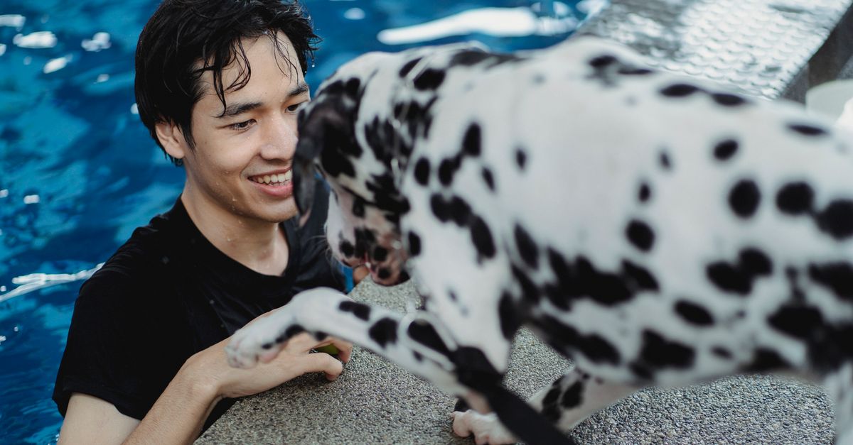 Splash, Wag, and Give: Dog Days of Denton Turns a Pool Party Into a Playground Legacy
