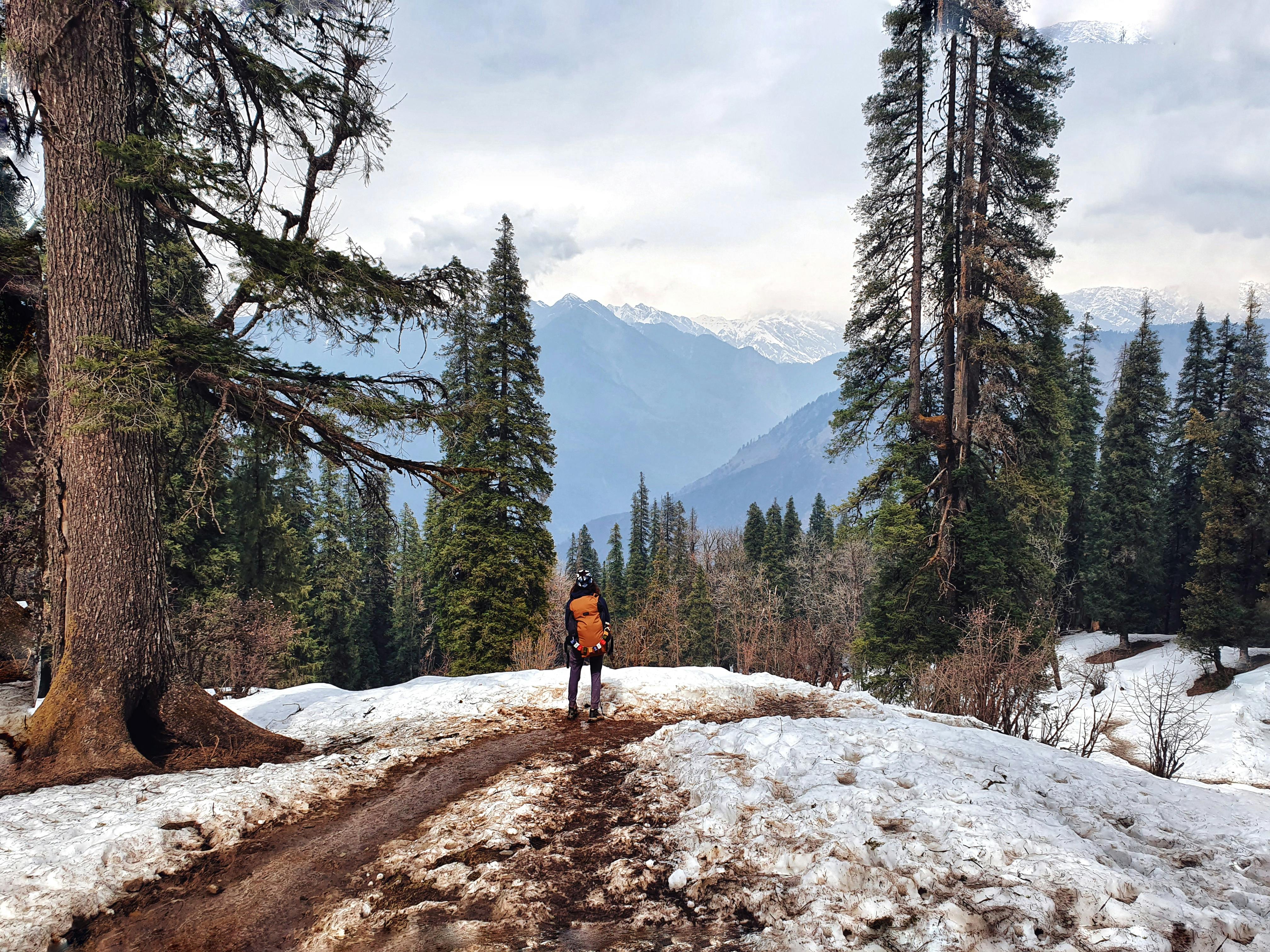 Person in Red Jacket Standing on Snowy Landscape