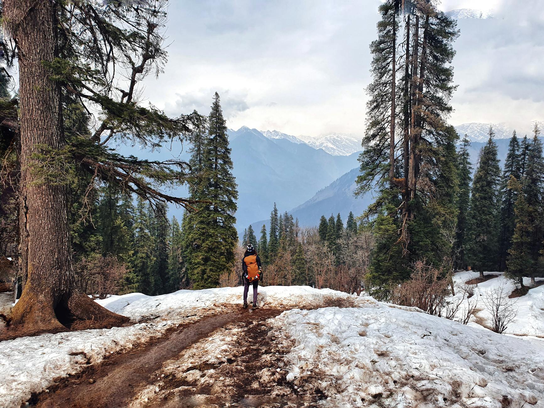 Person in Red Jacket Standing on Snowy Landscape