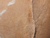 从空中拍摄的画面显示，这是一片干燥、开裂的棕色景观，侵蚀的痕迹清晰可见