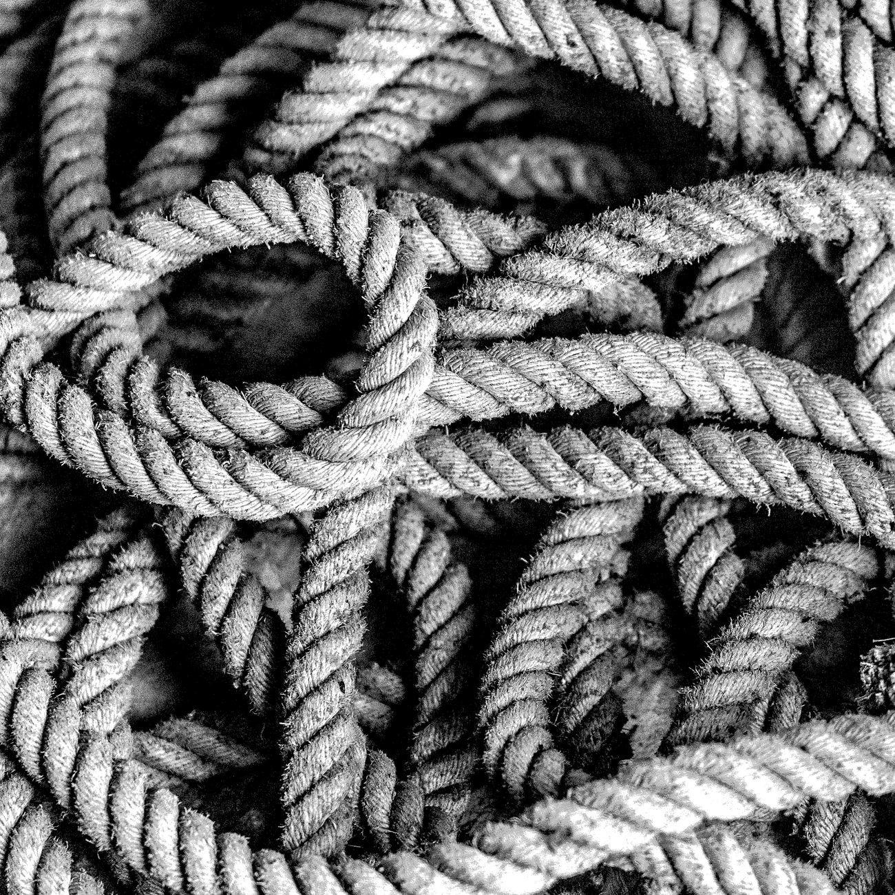 3M Alginate Dressings Rope 12in