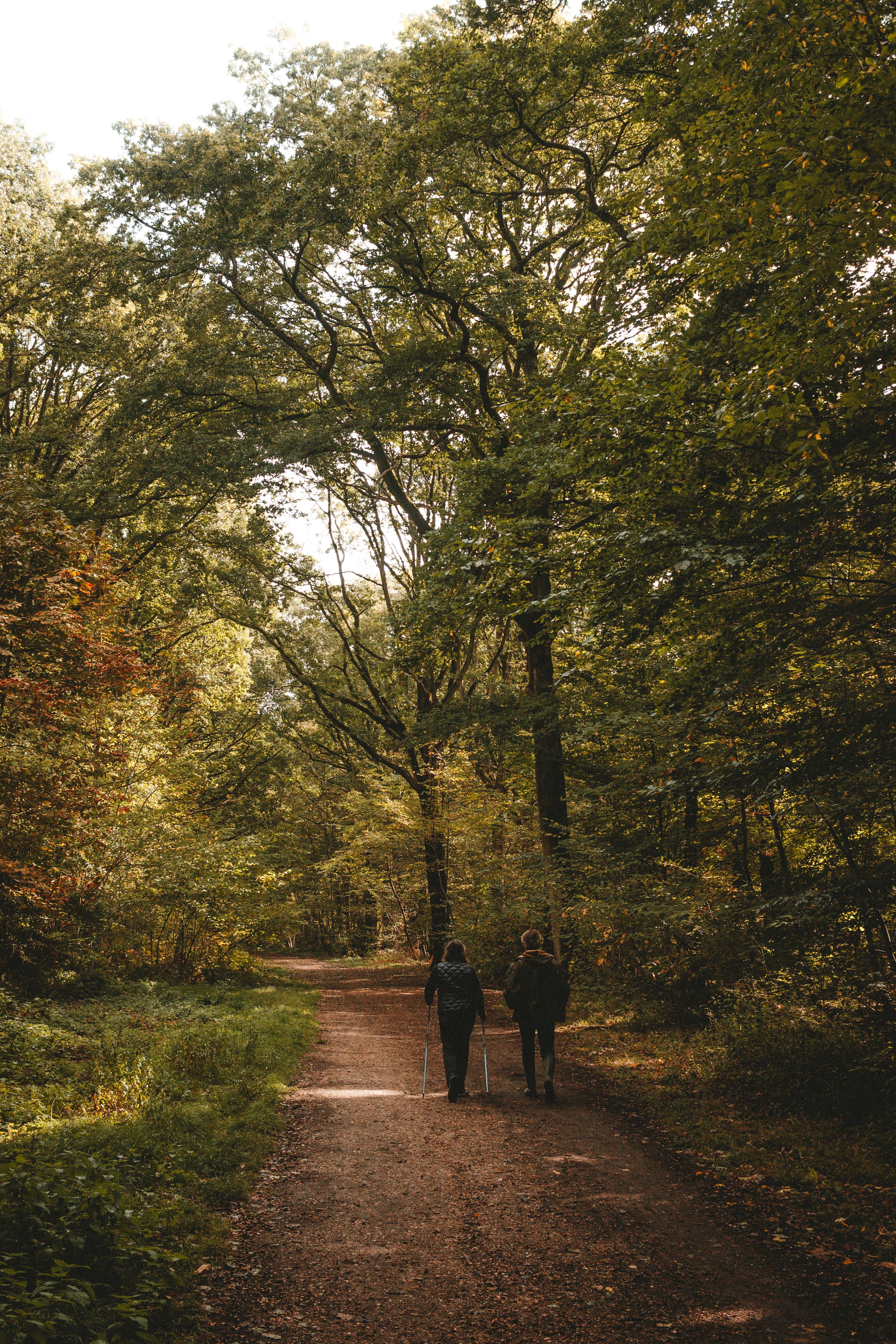 Couple walking in autumn park · Free Stock Photo