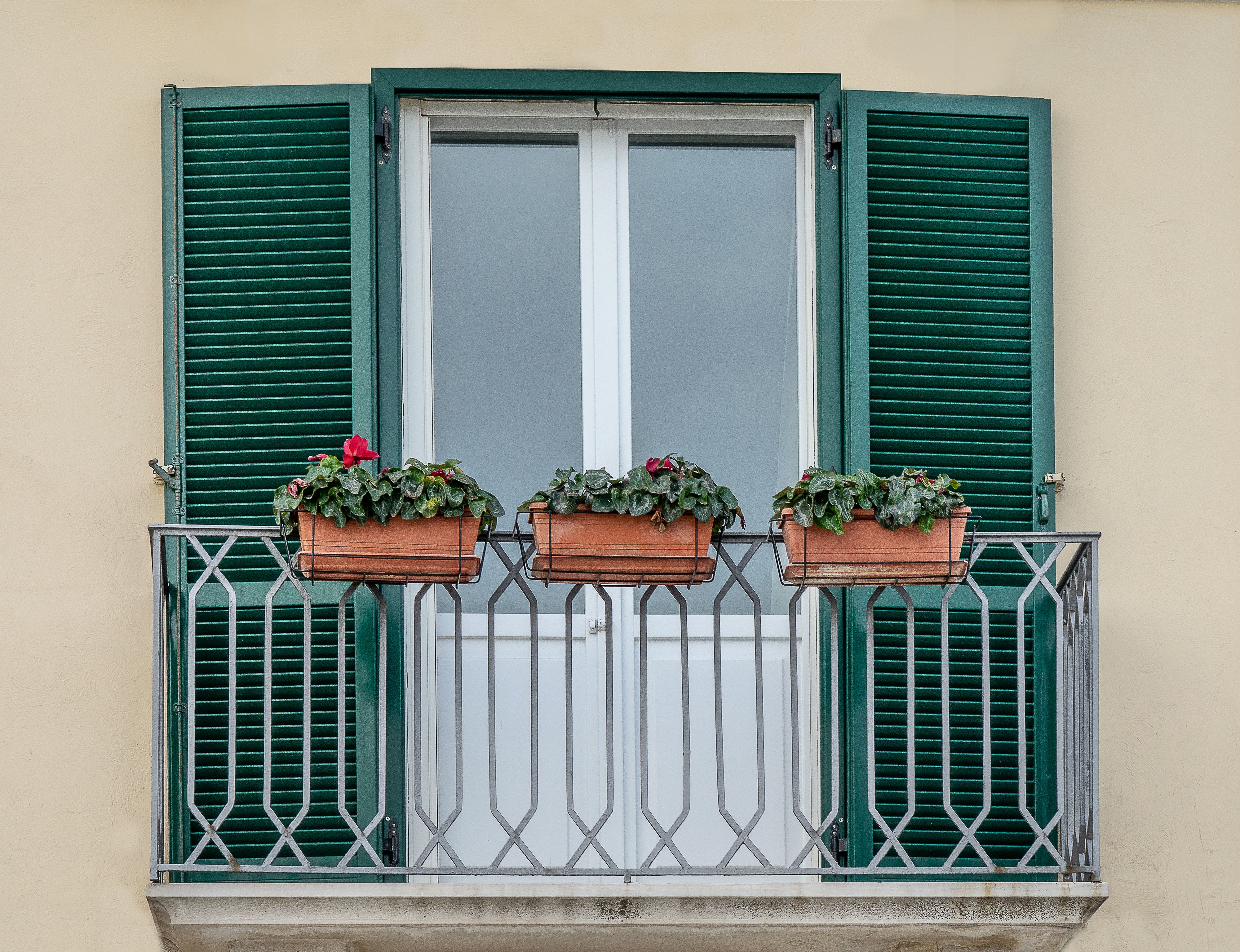 Growing lettuce on balcony year round — practical guide overview