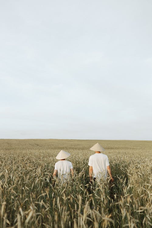 Grass Field Under White Sky