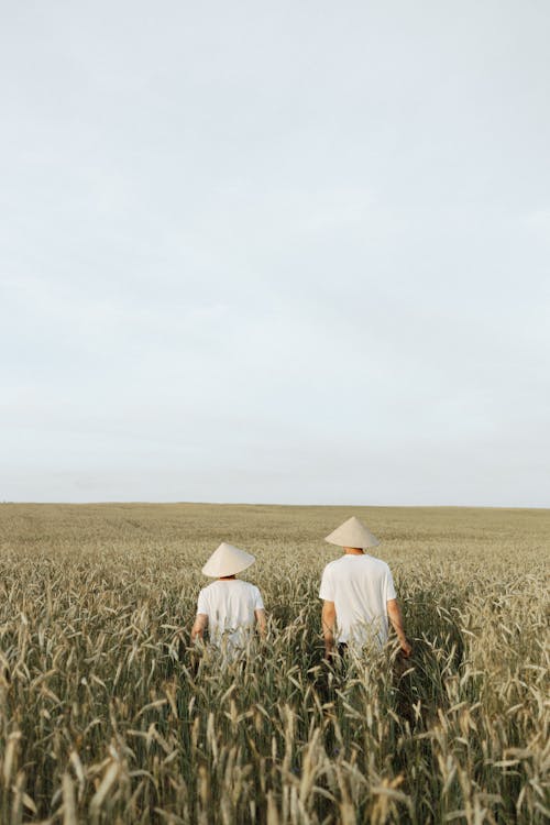 Δωρεάν στοκ φωτογραφιών με αγρόκτημα, αγροτικός, Άνθρωποι