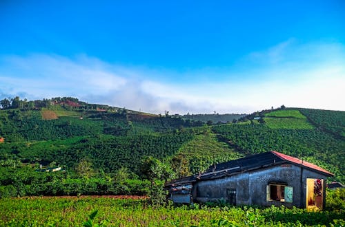 Ingyenes stockfotó dombok, farm, ház témában