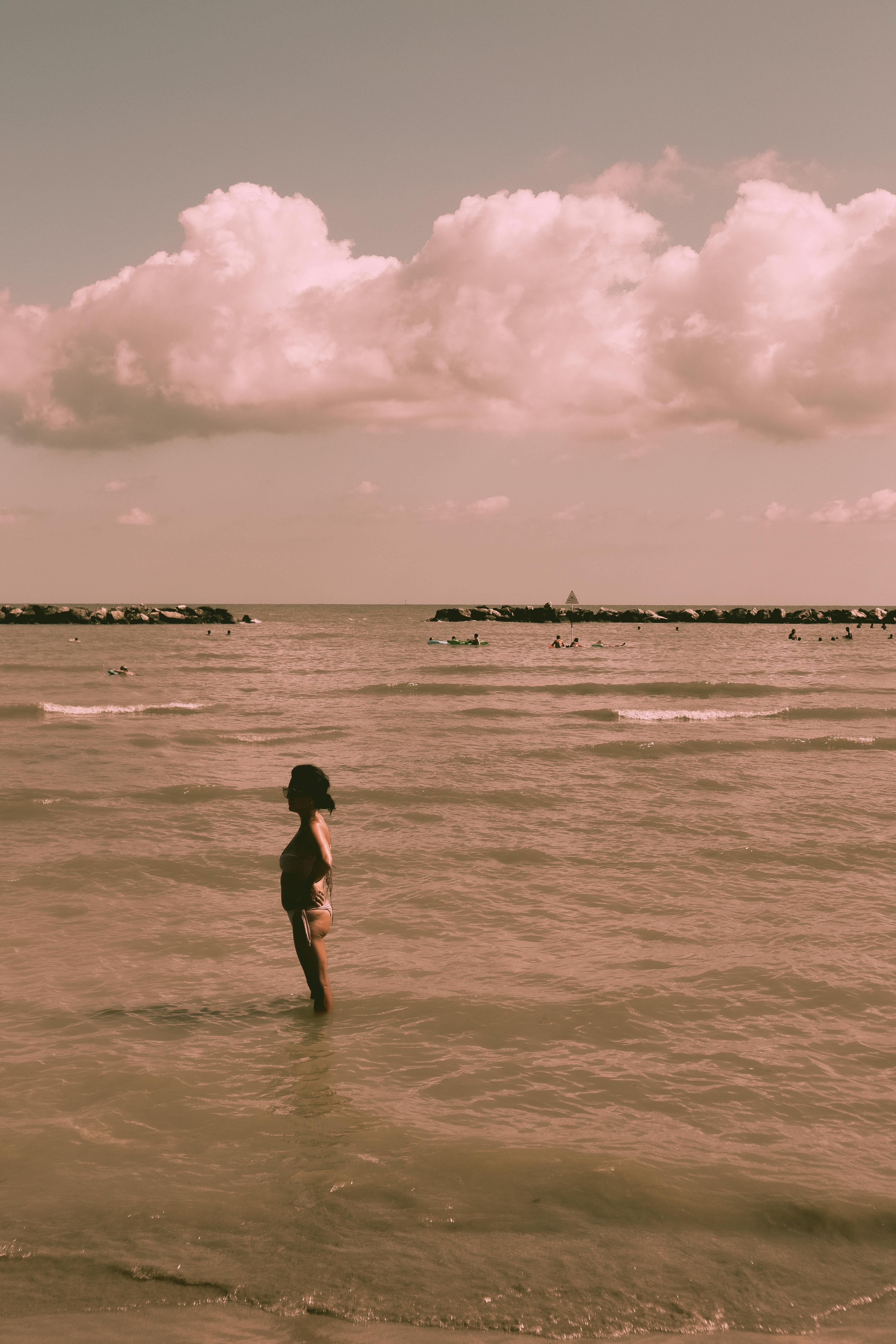 가판대, 걱정 없는, 고요한의 무료 스톡 사진