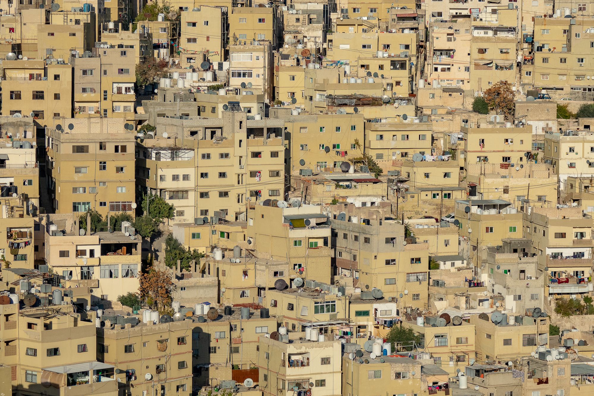 Zarqa